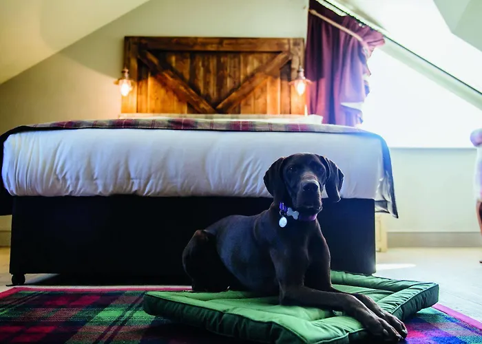 Мини-отель The